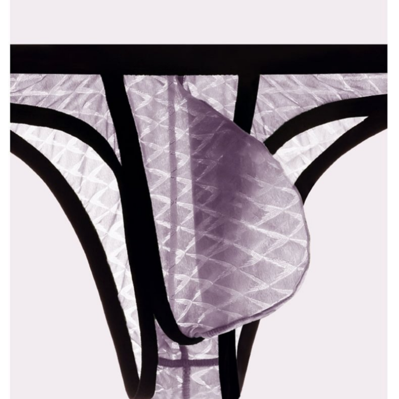 Sexiga, bekväma, transparenta, ultratunna herrtrosor i mesh med låg midja i issiden