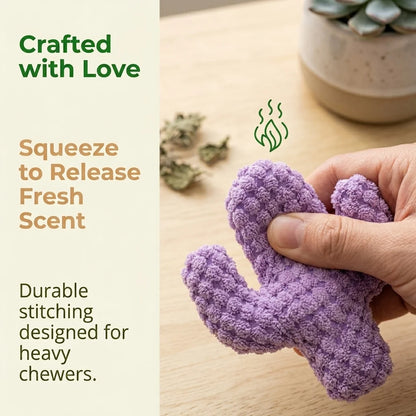 🔥5pc Handgjorda mjuka kaktus-tuggleksaker för kattungar med naturlig kattmynta