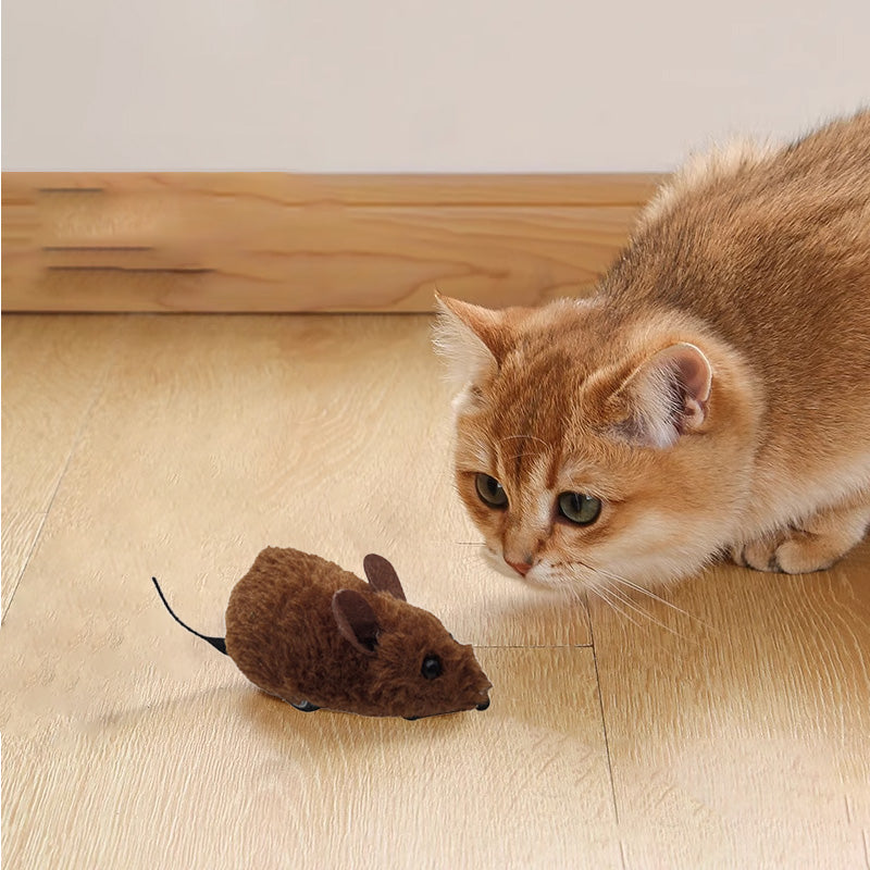🐭Musleksaker för katter och hundar nr🐁.