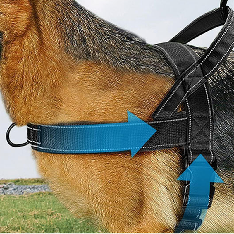 🥳🐕💪Robust taktisk hundsele - drar inte, kvävs inte🛡️✨