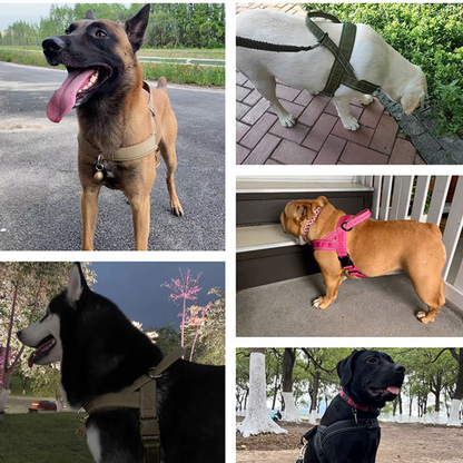 🥳🐕💪Robust taktisk hundsele - drar inte, kvävs inte🛡️✨