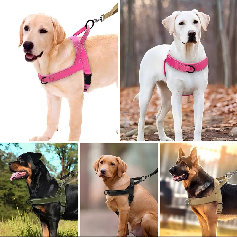 🥳🐕💪Robust taktisk hundsele - drar inte, kvävs inte🛡️✨