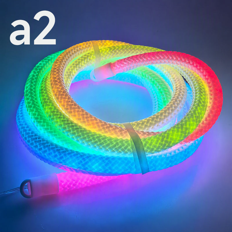 📢📢50% RABATT !! ⏰Dragon Scale Woven LED Neon Rope Light